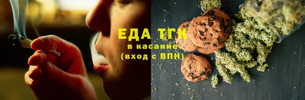 ECSTASY Тайга