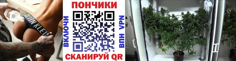 Купить  Хабаровск  Конопля семена 